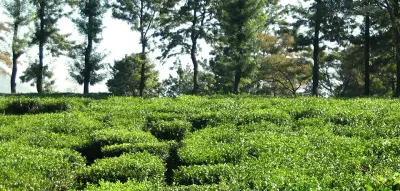 Explore Hidden Jewel Of India gallery image